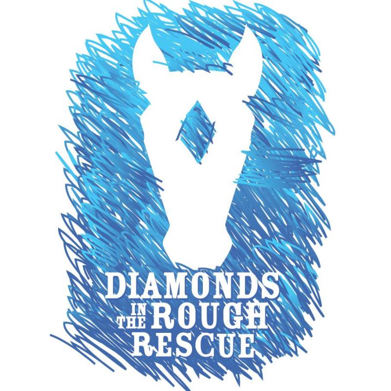 Diamonds in the Rough Rescue